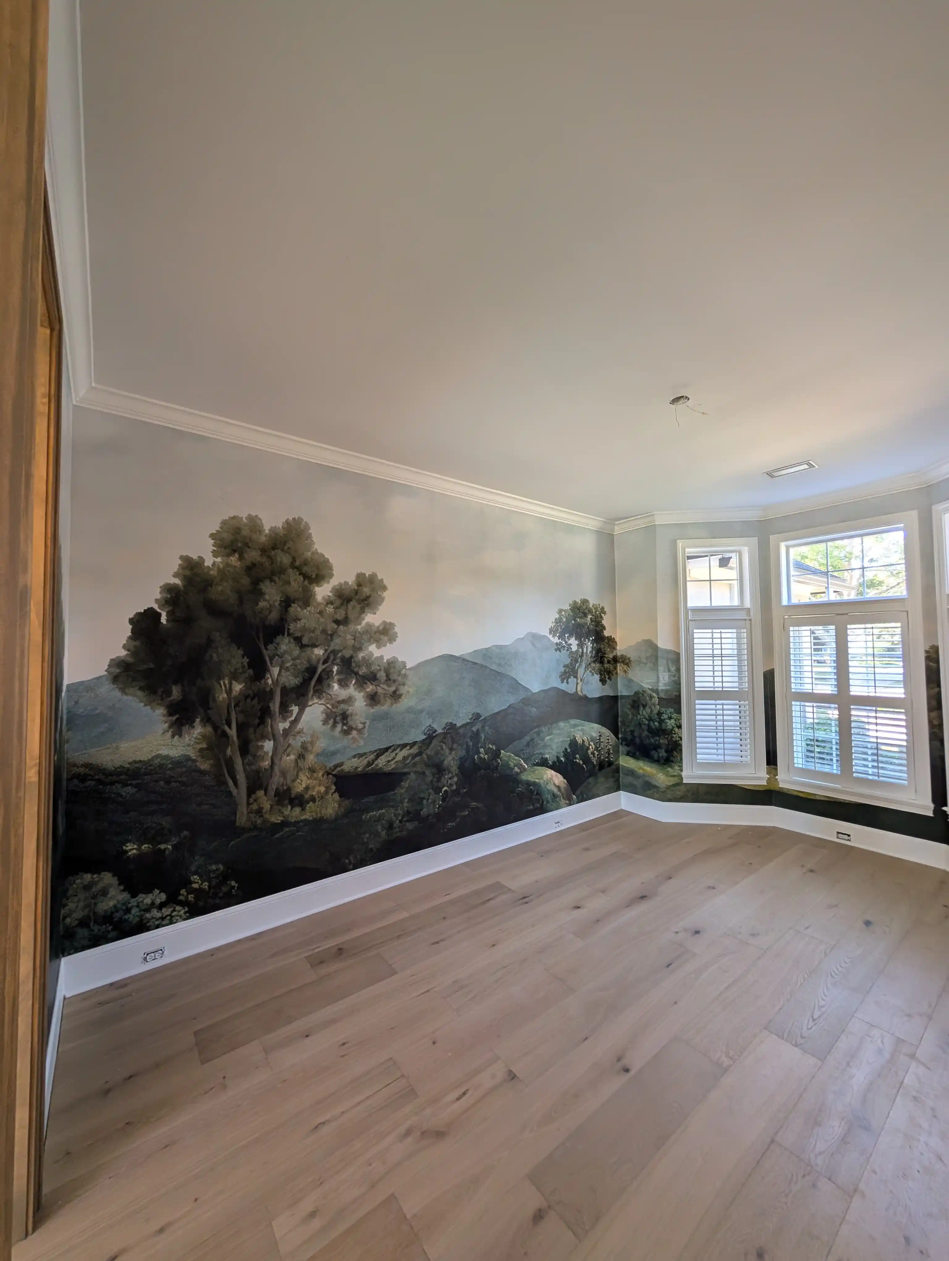 Custom Mural Wallpaper Installation